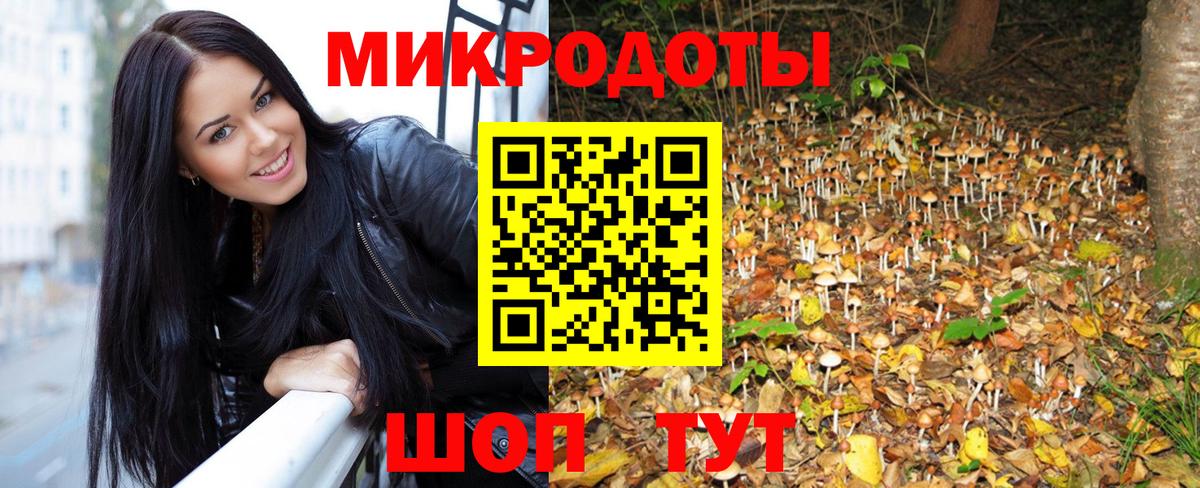 Псилоцибиновые грибы прущие грибы  Галлюциногенные грибы ЛСД  Унеча  Вход с VPN 